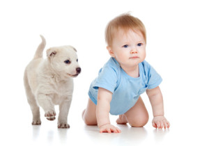 pets-and-your-toddler-454