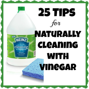 vinegar, cleaning service list, cleaning checklist, darling dusters, colorado Springs, service checklist